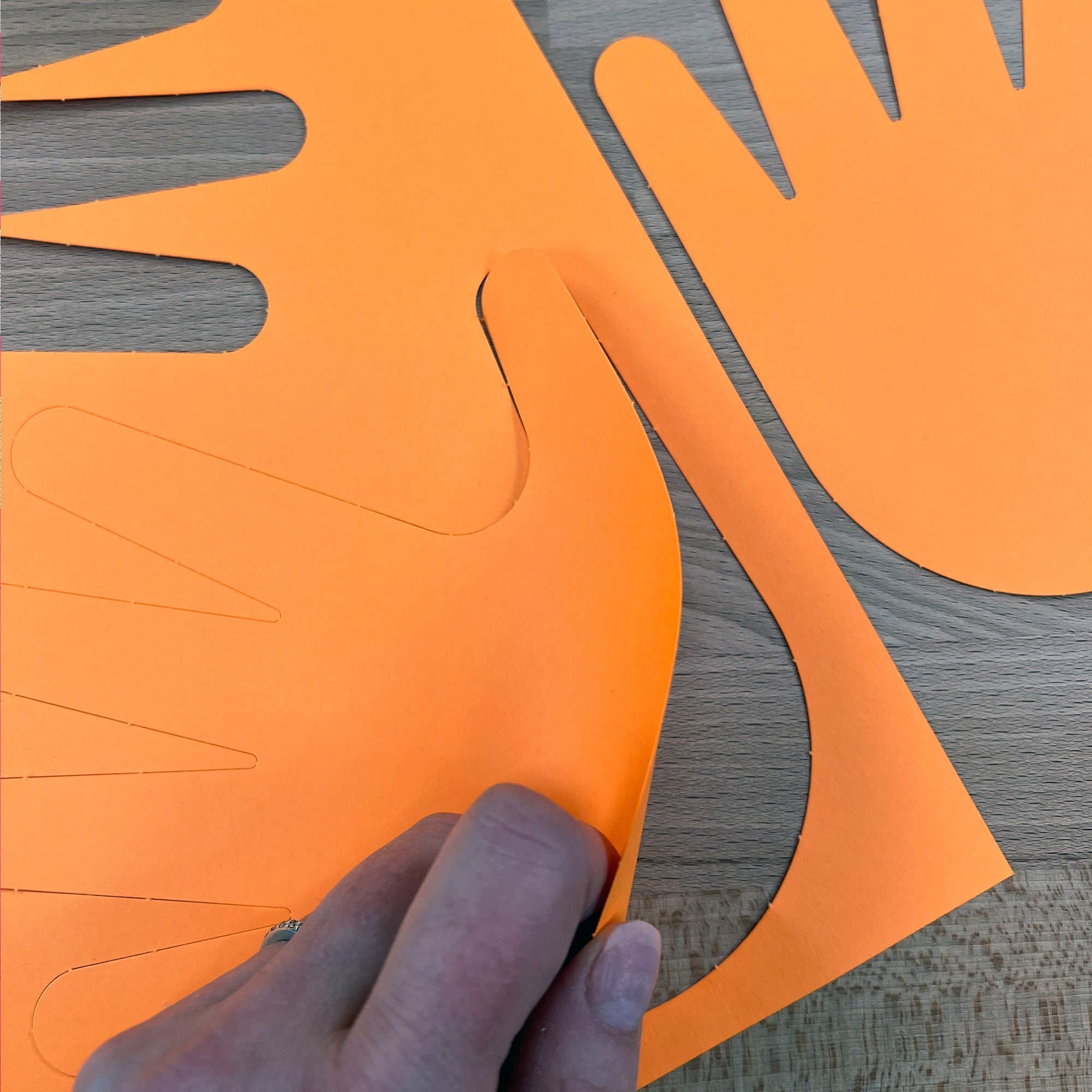 Handprint Cutouts