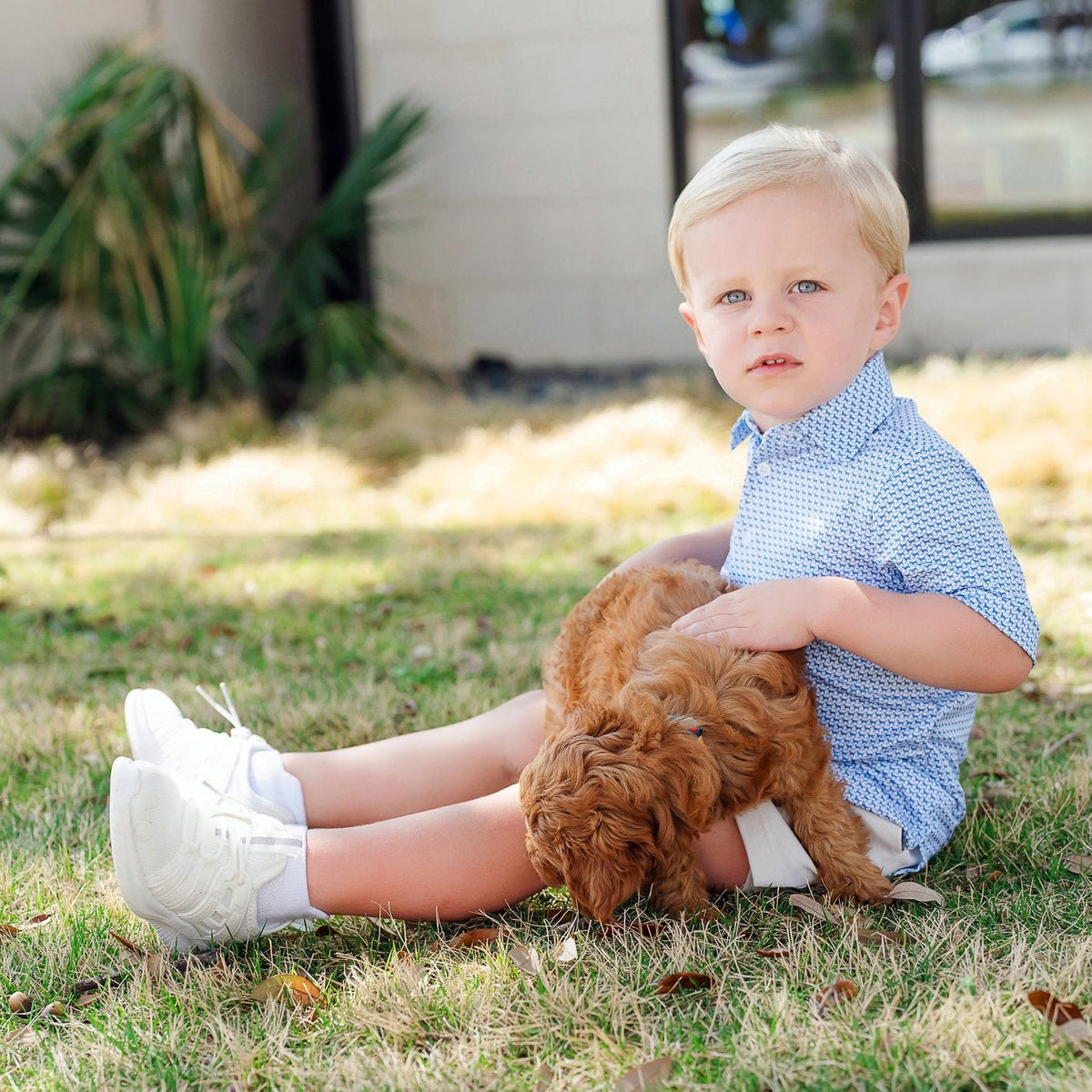 Will Boys' Performance Polo By Lh Sport - Fetch Classic Blue