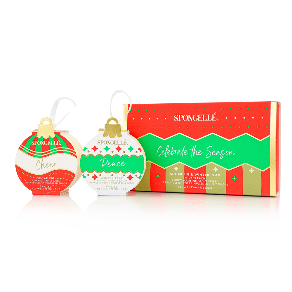 Celebrate The Season | Holiday Ornament Gift Set