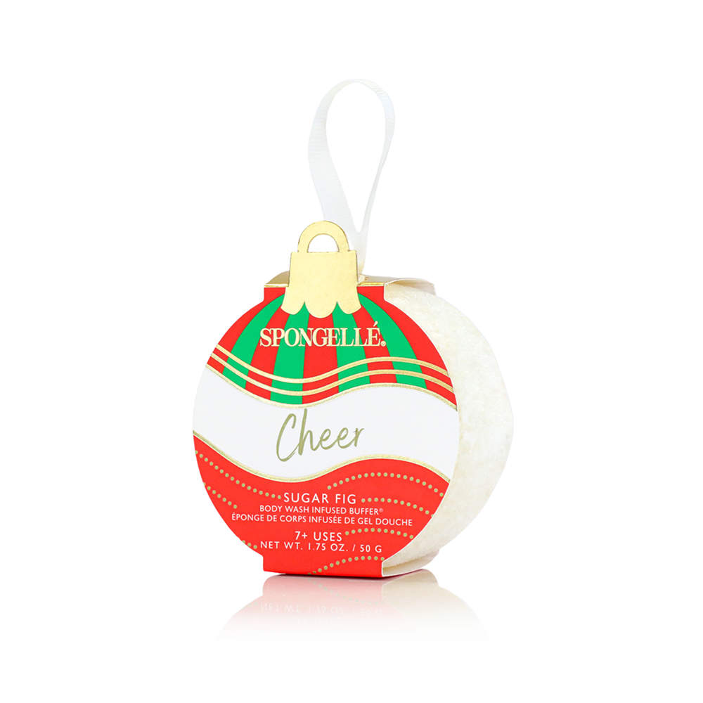 Celebrate The Season | Holiday Ornament Gift Set