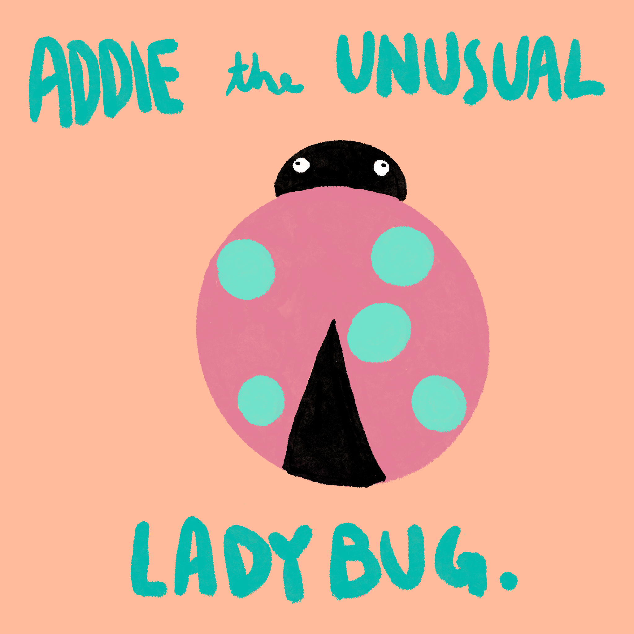 Addie The Unusual Ladybug