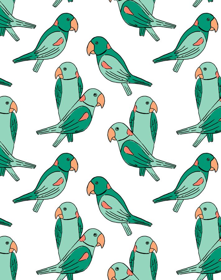 'alexandrine Parakeet' Wallpaper By Tea Collection - Caribbean