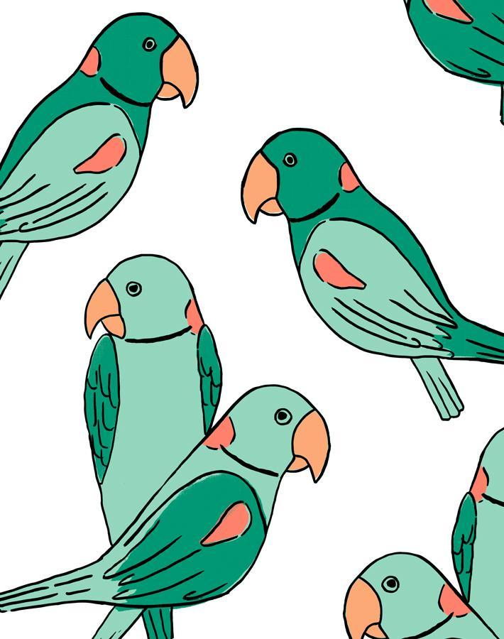 'alexandrine Parakeet' Wallpaper By Tea Collection - Caribbean