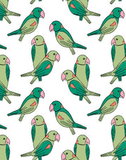 'alexandrine Parakeet' Wallpaper By Tea Collection - Green