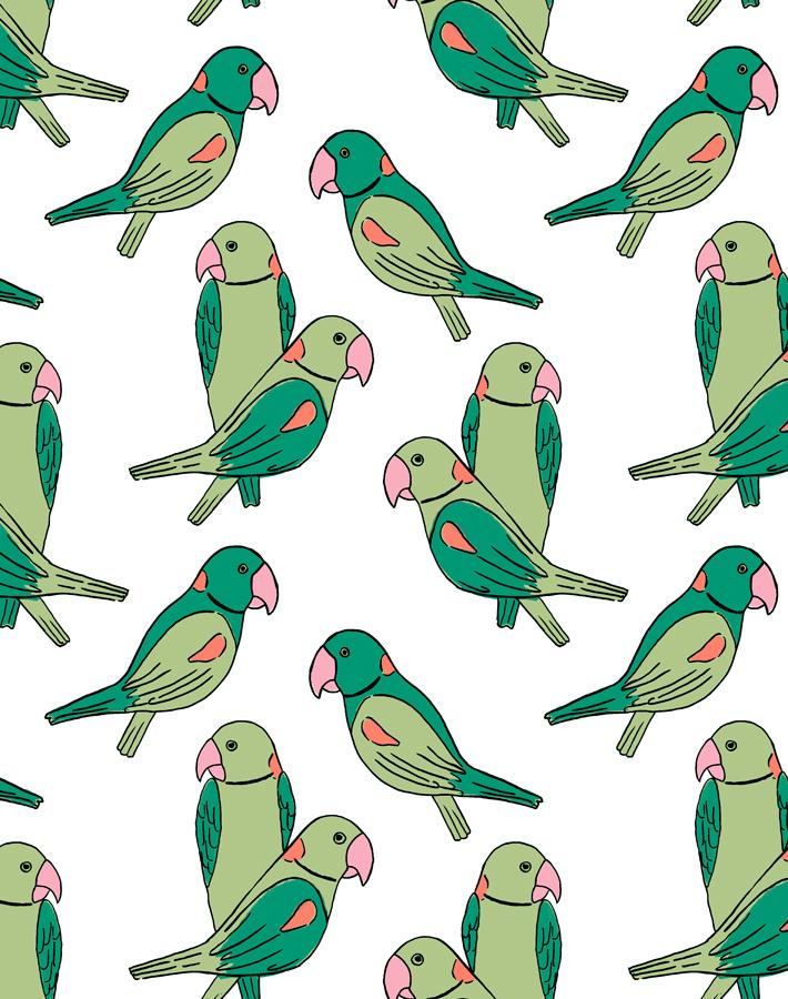 'alexandrine Parakeet' Wallpaper By Tea Collection - Green