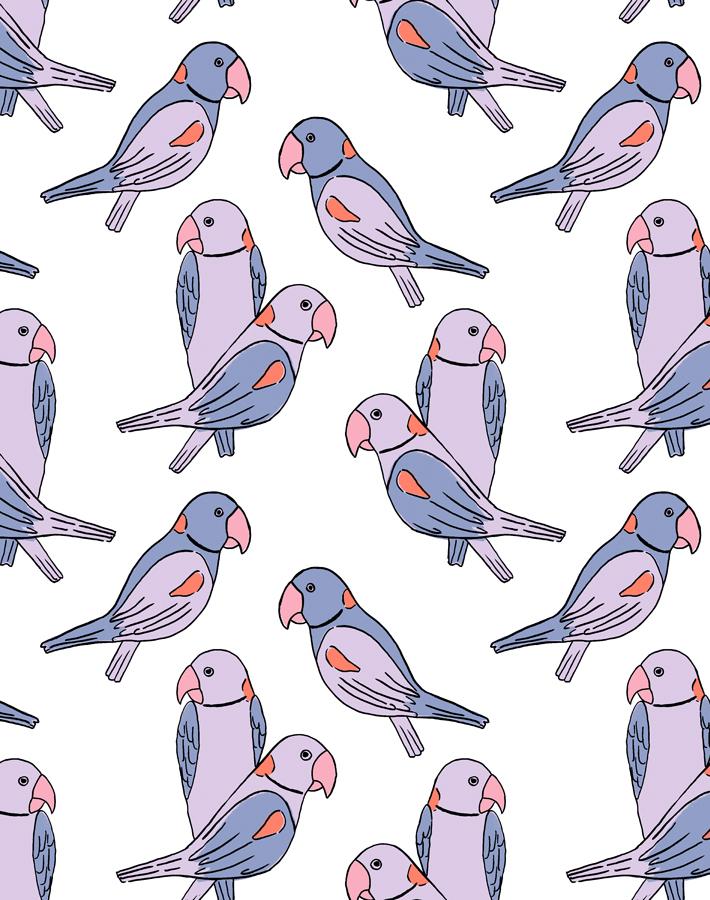 'alexandrine Parakeet' Wallpaper By Tea Collection - Lavender