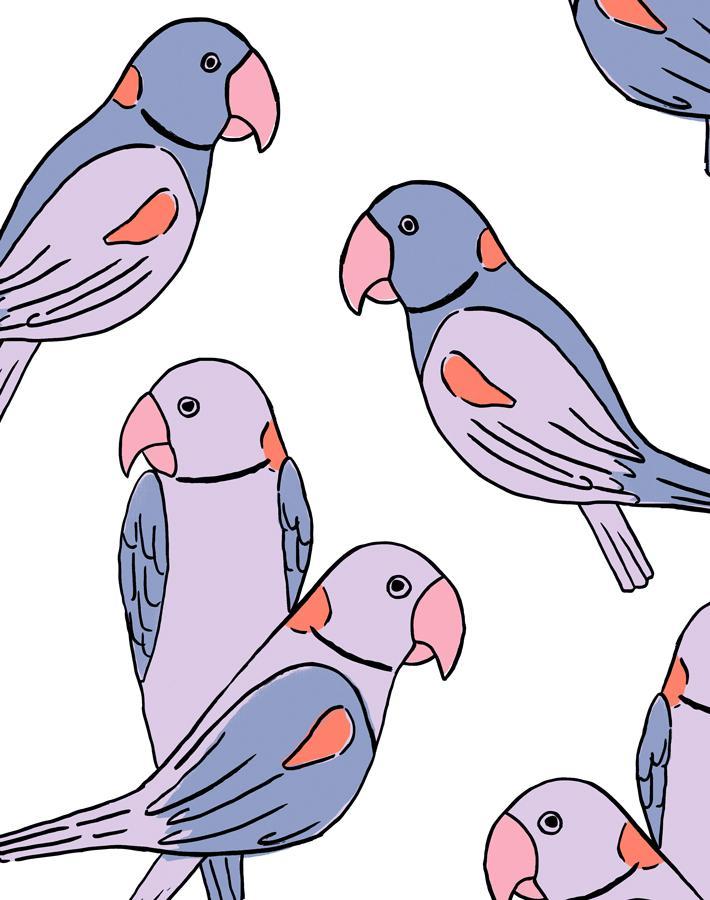 'alexandrine Parakeet' Wallpaper By Tea Collection - Lavender