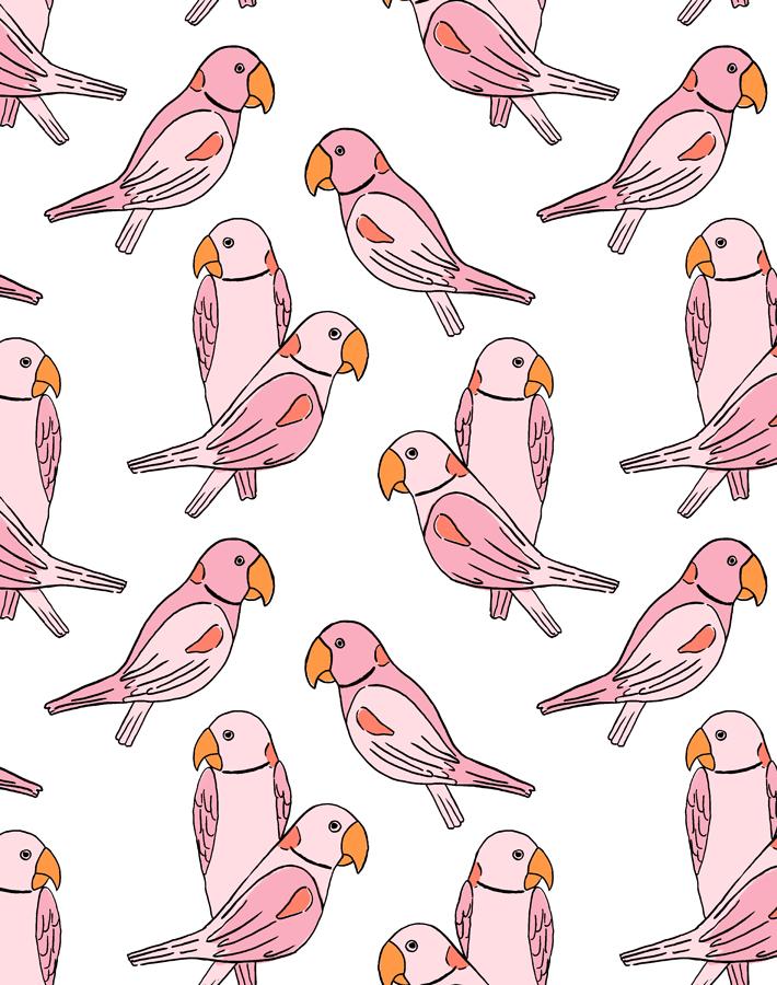 'alexandrine Parakeet' Wallpaper By Tea Collection - Pink