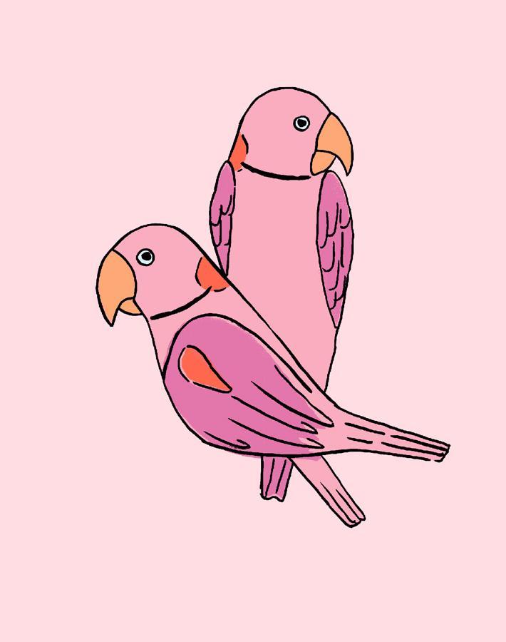 'small Alexandrine Parakeet' Wallpaper By Tea Collection - Ballet Slipper
