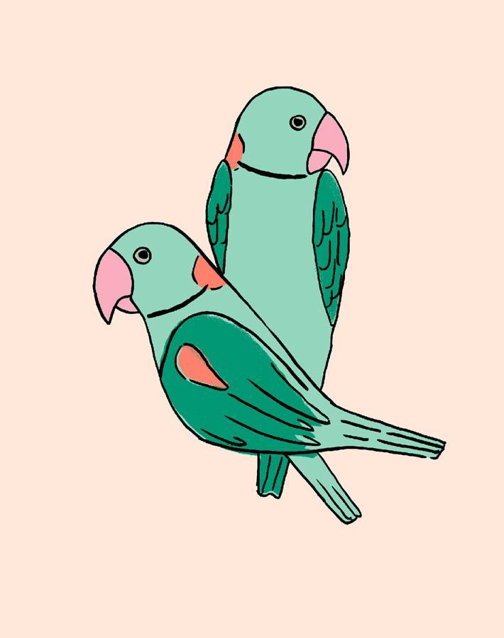 'small Alexandrine Parakeet' Wallpaper By Tea Collection - Caribbean