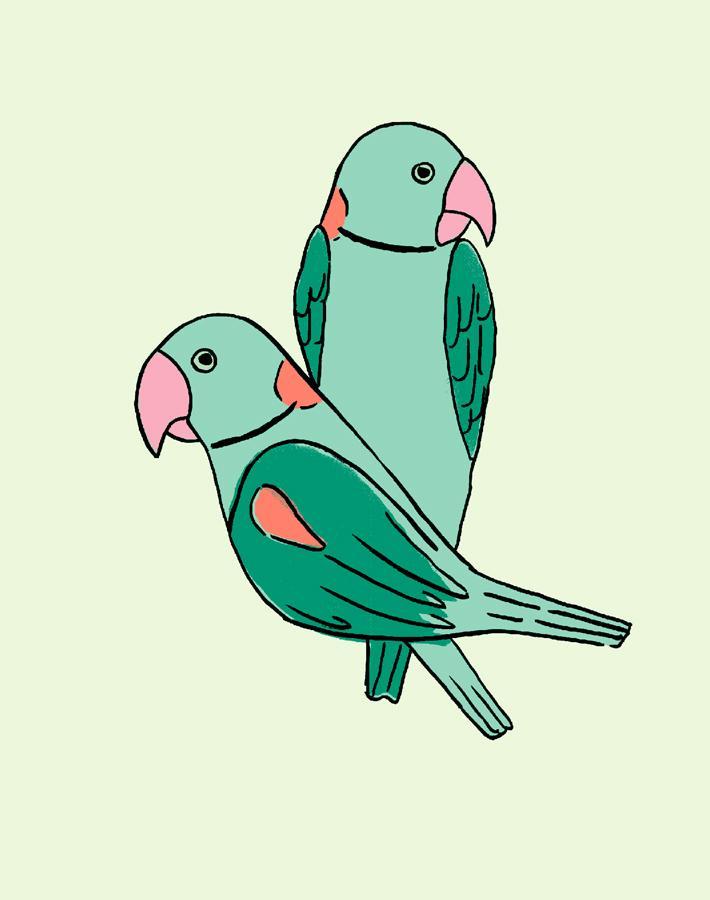 'small Alexandrine Parakeet' Wallpaper By Tea Collection - Emerald