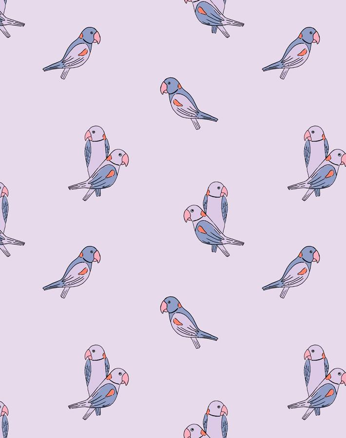 'small Alexandrine Parakeet' Wallpaper By Tea Collection - Lavender