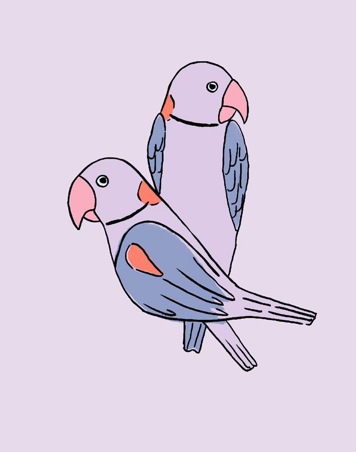 'small Alexandrine Parakeet' Wallpaper By Tea Collection - Lavender