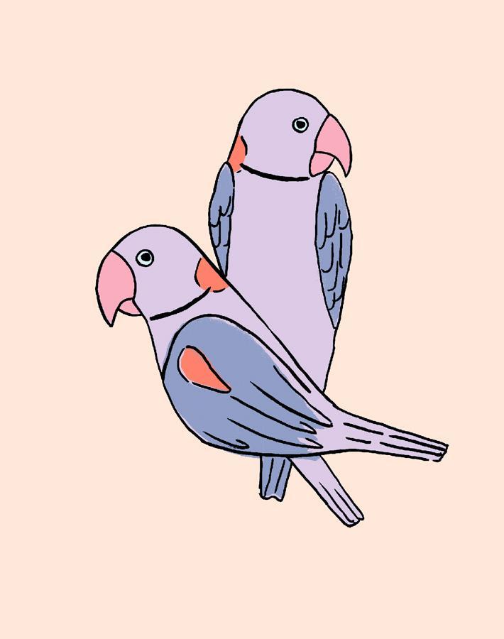 'small Alexandrine Parakeet' Wallpaper By Tea Collection - Lilac