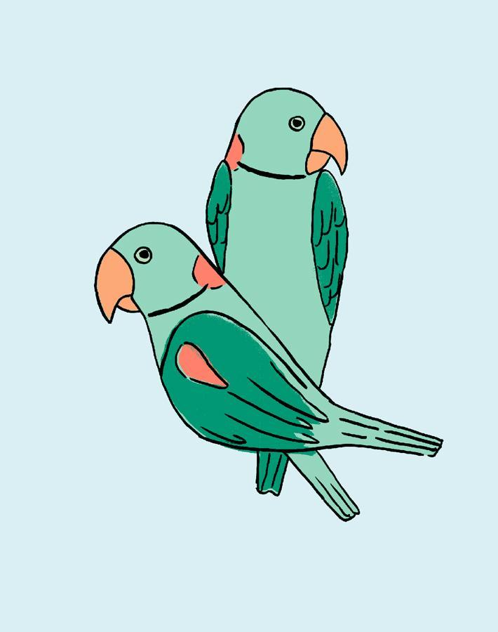 'small Alexandrine Parakeet' Wallpaper By Tea Collection - Pale