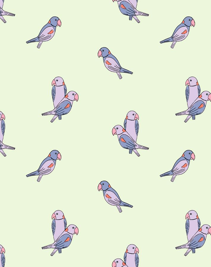 'small Alexandrine Parakeet' Wallpaper By Tea Collection - Pistachio