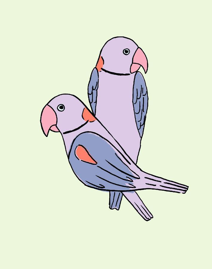 'small Alexandrine Parakeet' Wallpaper By Tea Collection - Pistachio