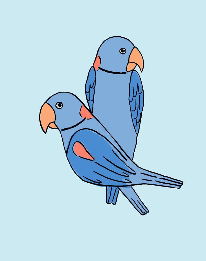 'small Alexandrine Parakeet' Wallpaper By Tea Collection - Sky