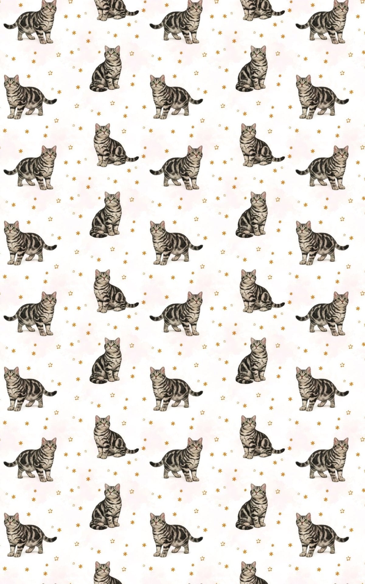American Shorthair Classic Wrapping Paper