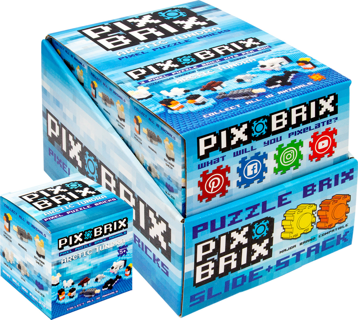 Arctic Blind Box