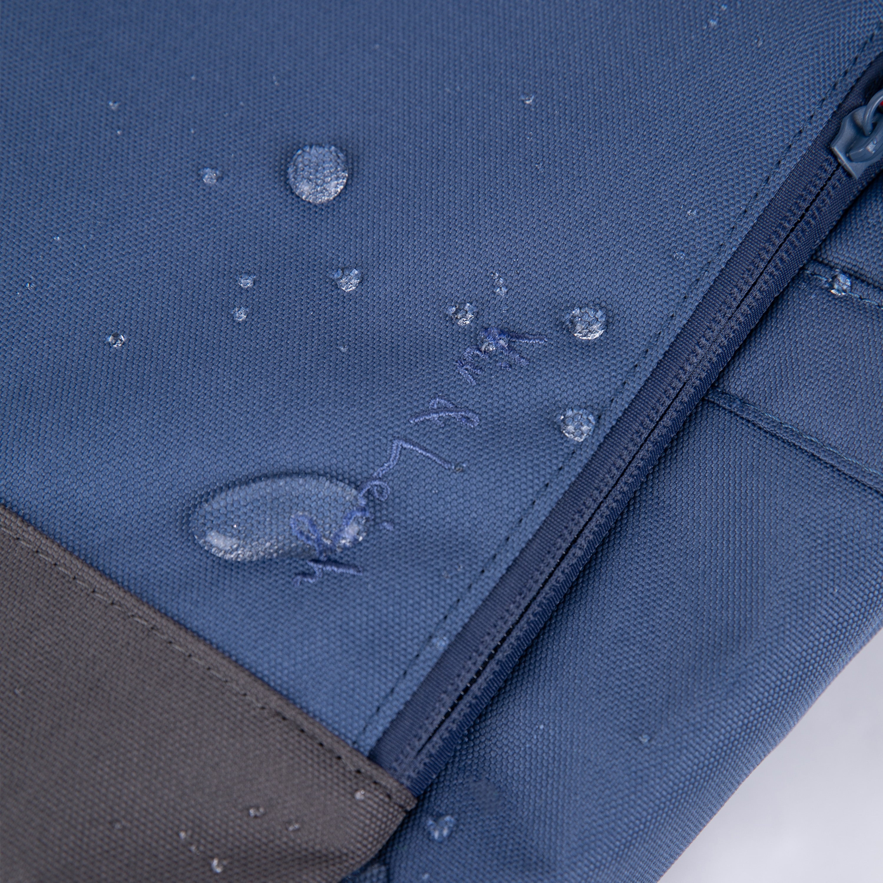 Ari Easyreach™ Rolltop Backpack Forest