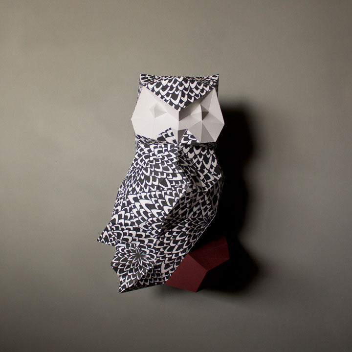 James The Feathered Owl | Diy Paper Craft Animal Kit