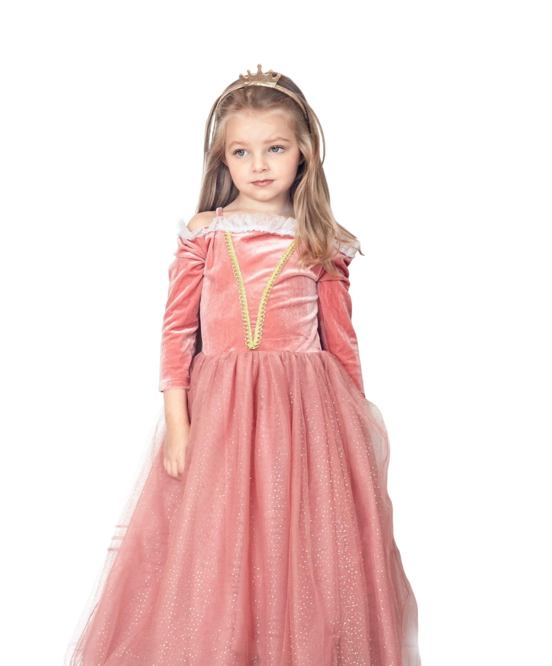 Princess Briar Rose Pink Costume Dress