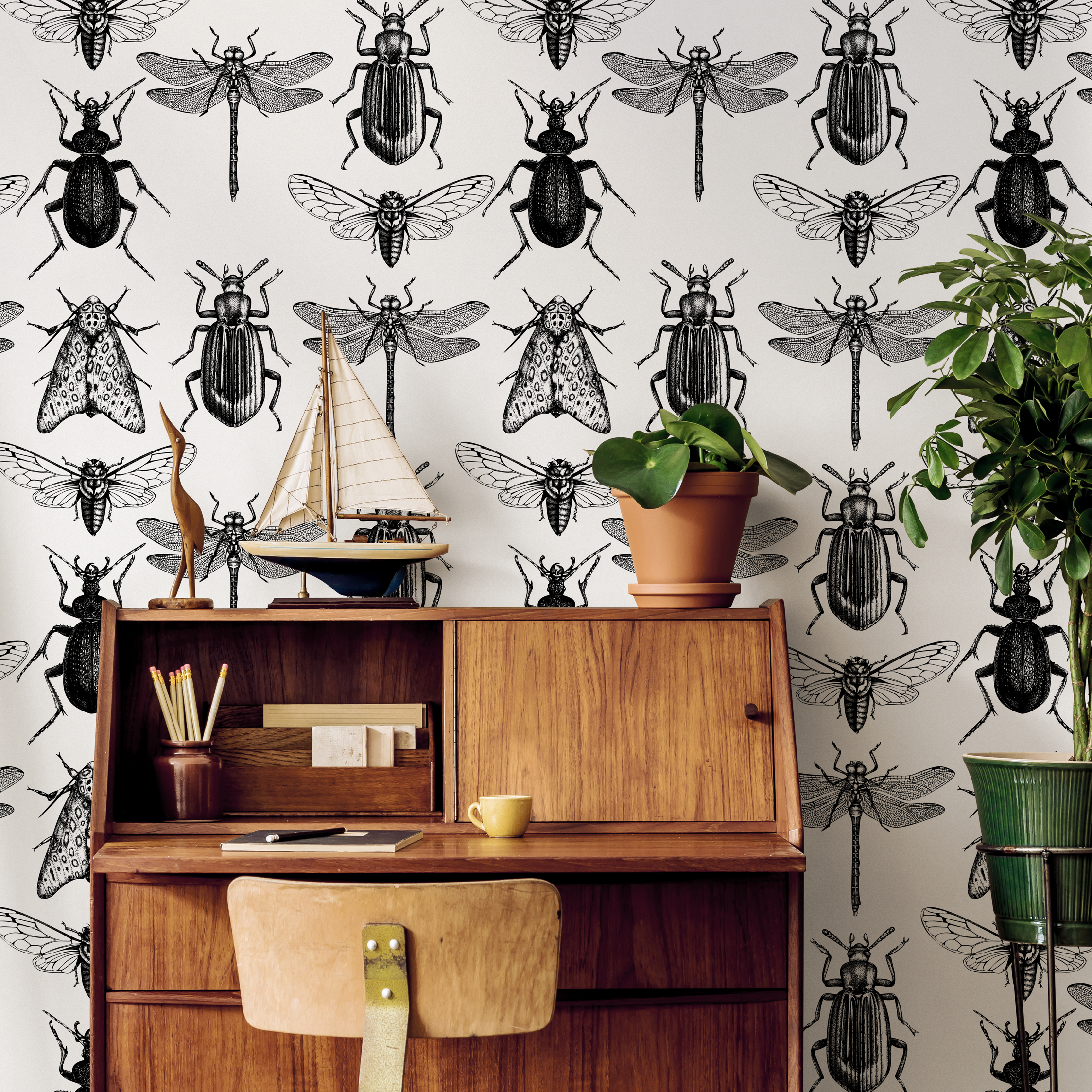 Insect Wallpaper With Vintage Entomology Illustrations In Black And White - B327