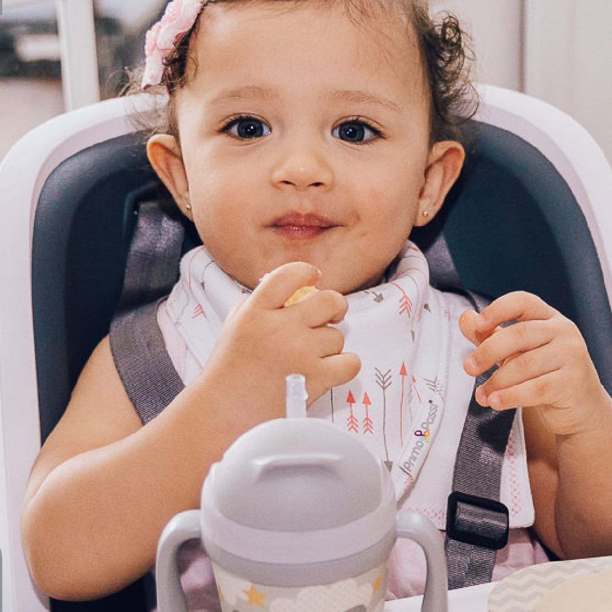 Bandana Bib, Pink Arrows