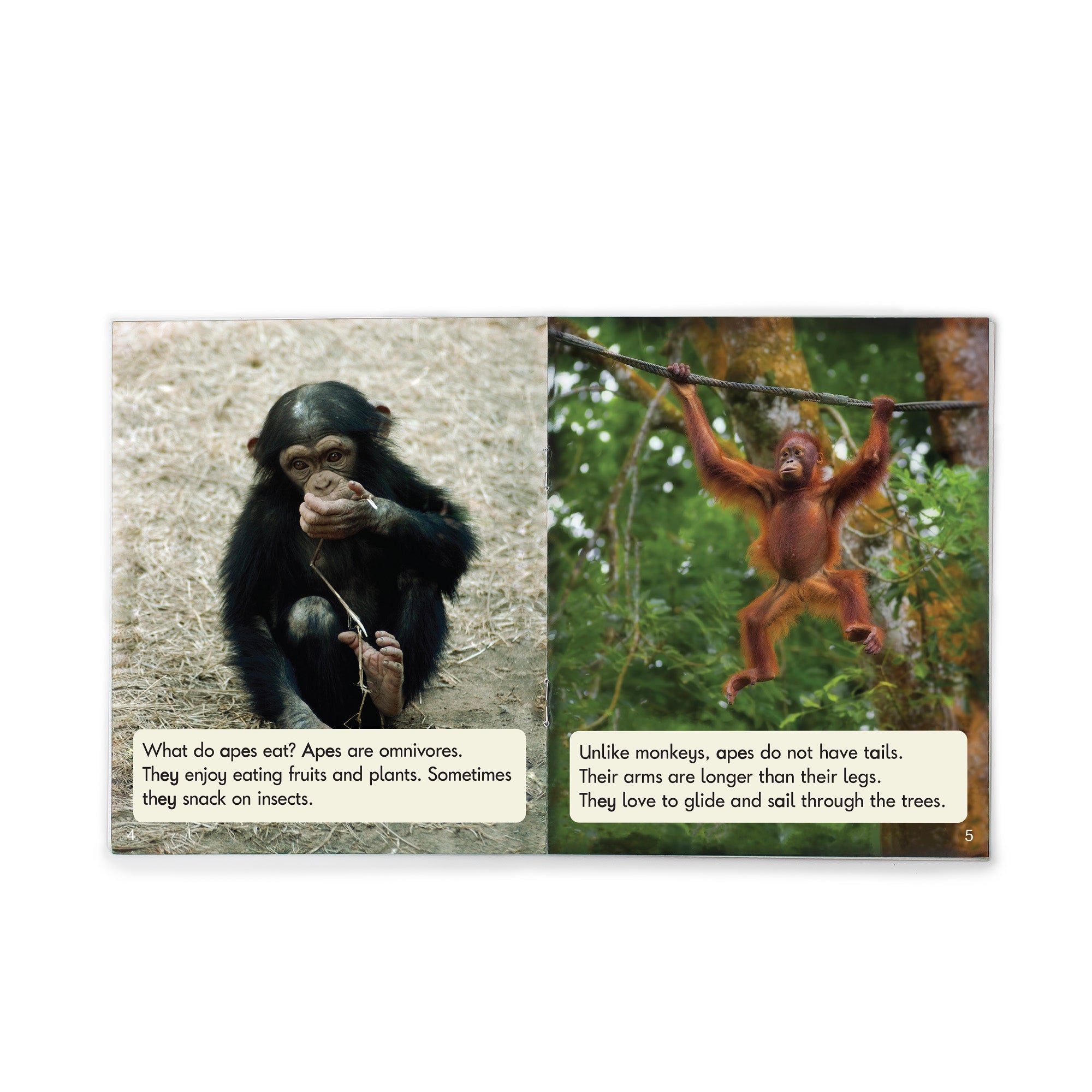 Sound Families Long Vowels Non-fiction Phase 5.5