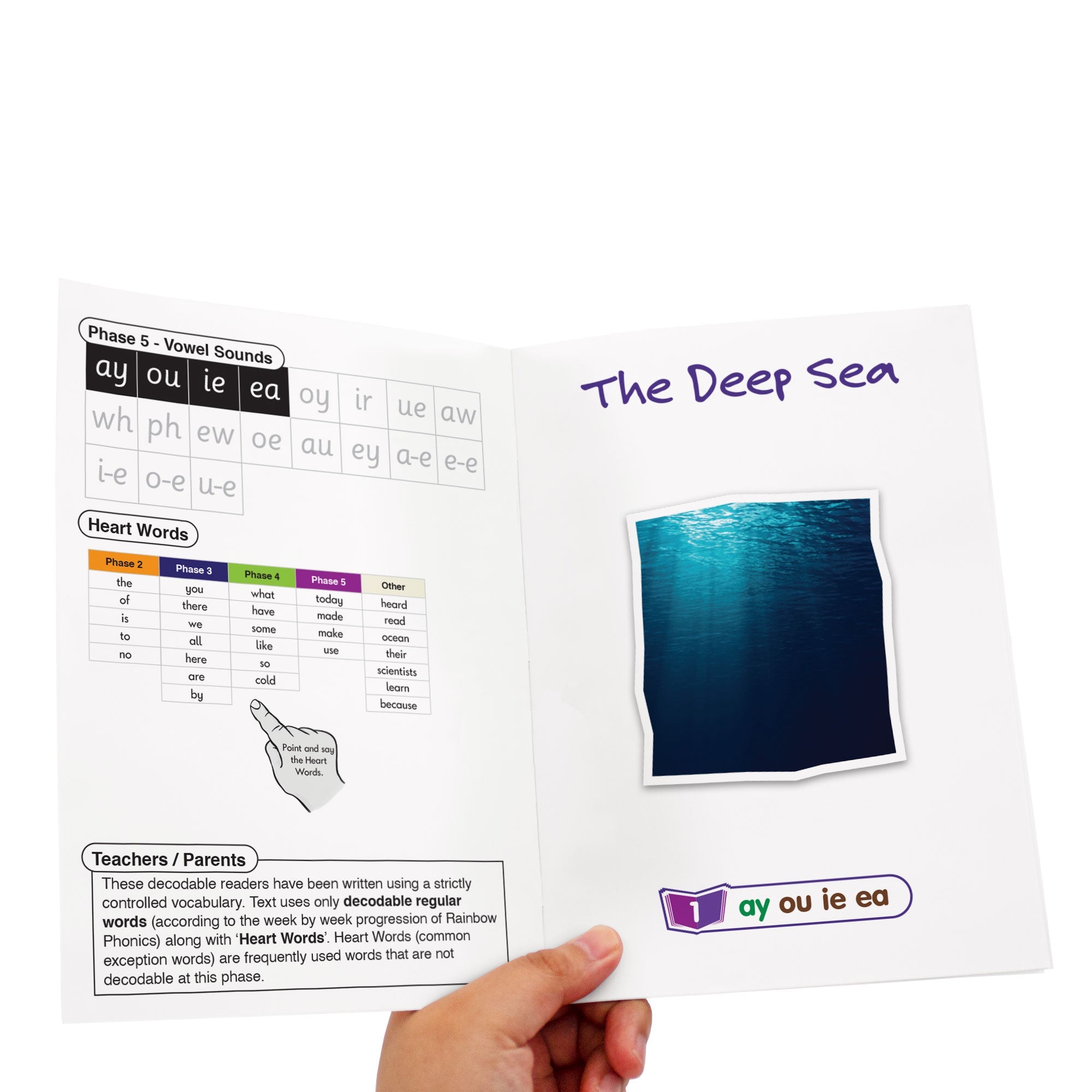 Real World Non-fiction Hi-lo Decodables Phase 5