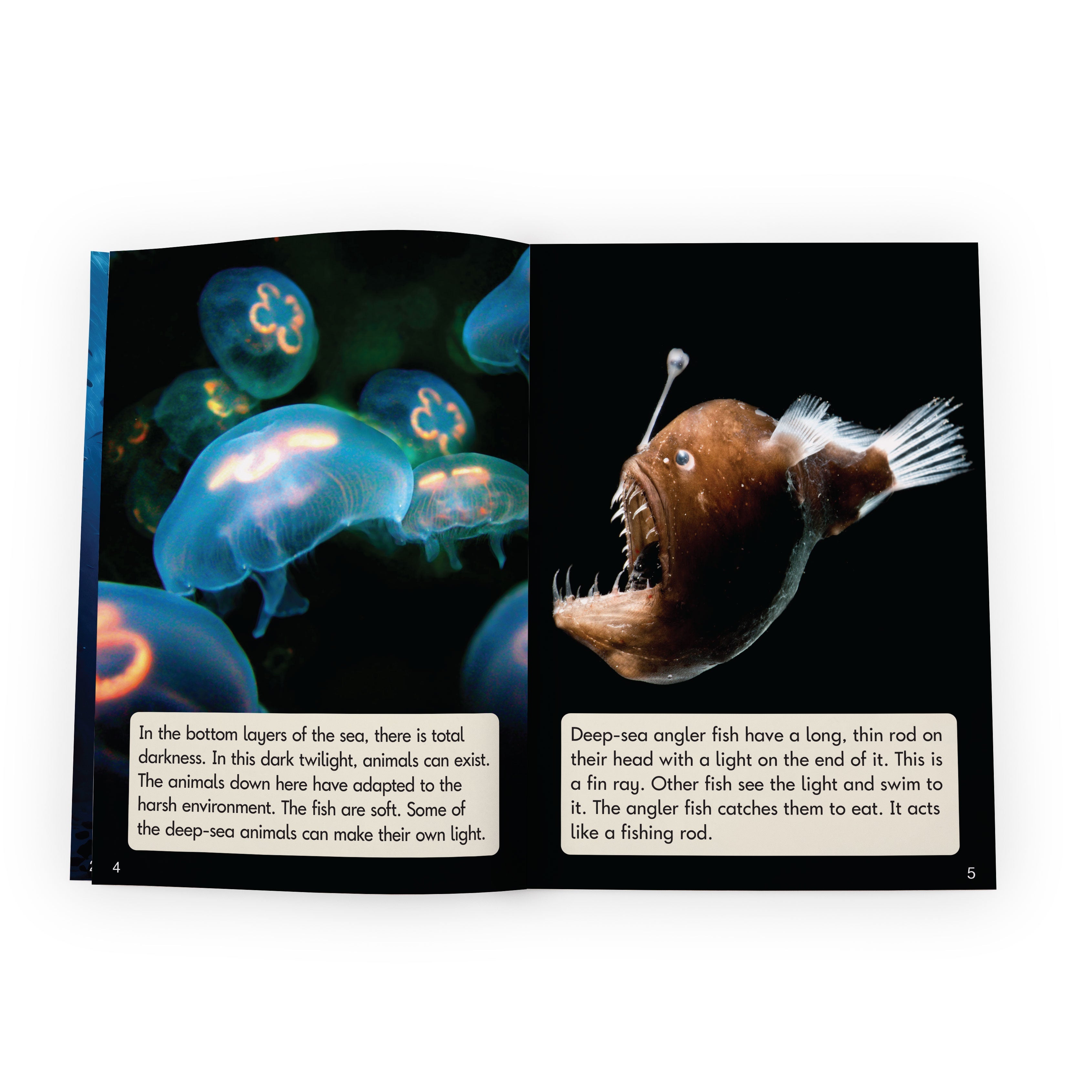 Real World Non-fiction Hi-lo Decodables Phase 5 - 6 Pack