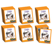 Science Decodables Phase 2 Non-fiction - 6 Pack