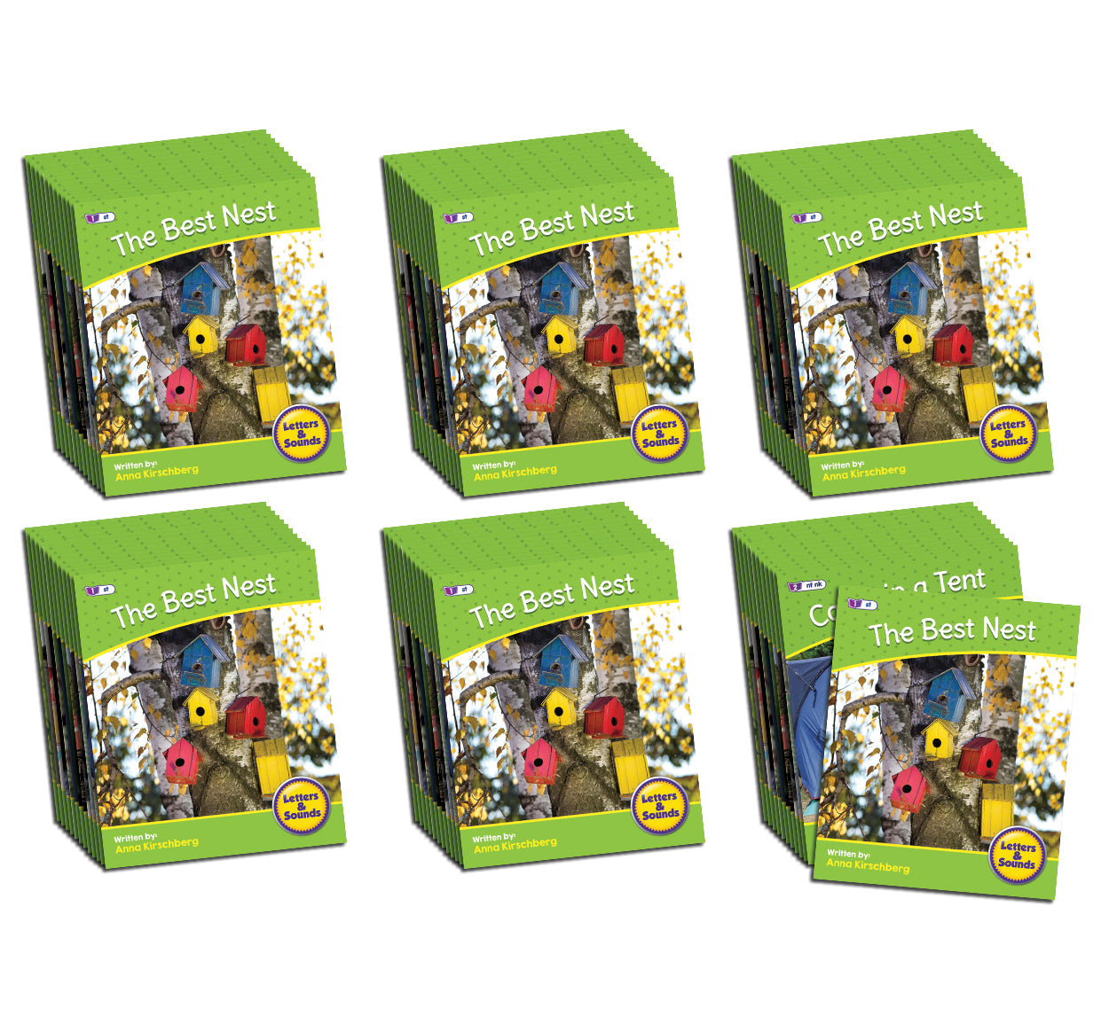 Letters & Sounds Phase 4 Set 2 Non-fiction - 6 Pack