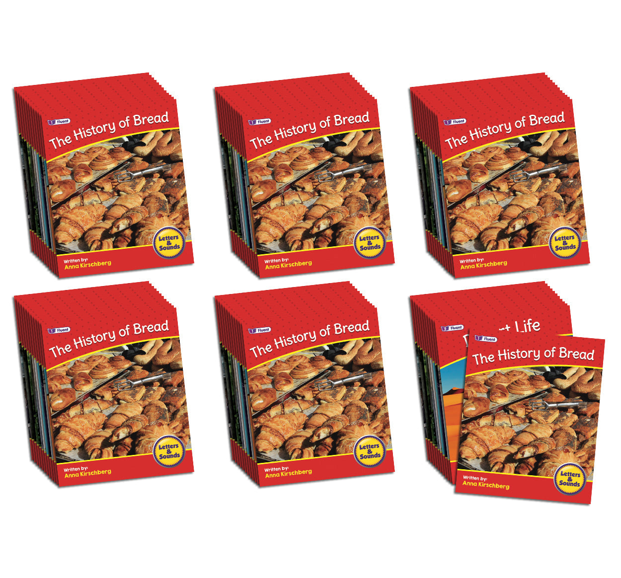 Letters & Sounds Phase 6 Set 2 Non-fiction - 6 Pack