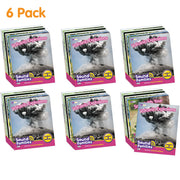 Sound Families R-controlled Non-fiction Phase 5.5 - 6 Pack