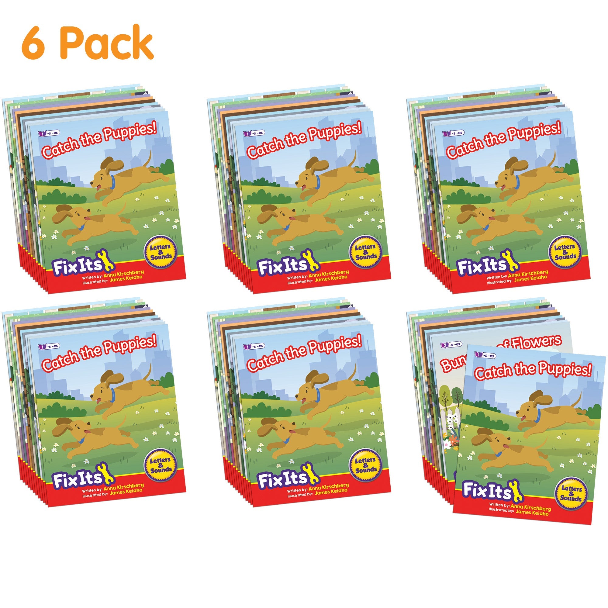 Fix Its Suffixes Fiction Phase 6 - 6 Pack