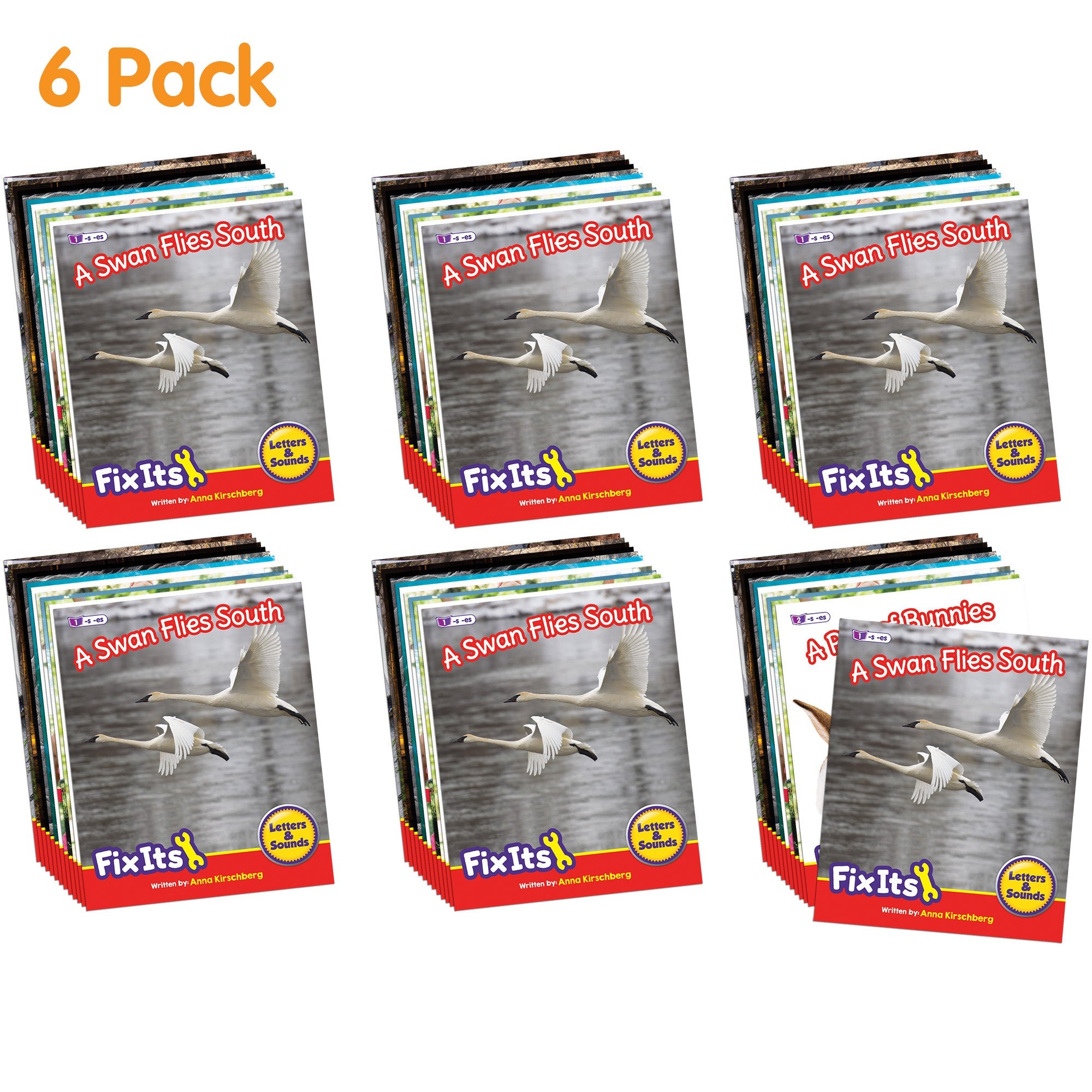 Fix Its Suffixes Non-fiction Phase 6 - 6 Pack
