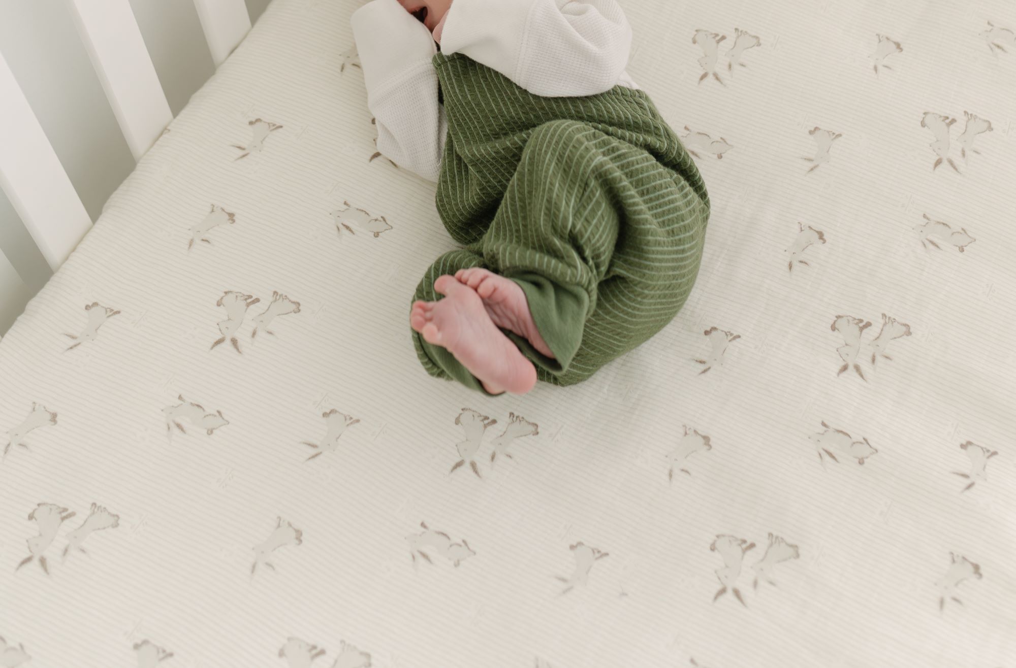 Avery Organic Cotton Bunny Fitted Crib Sheet