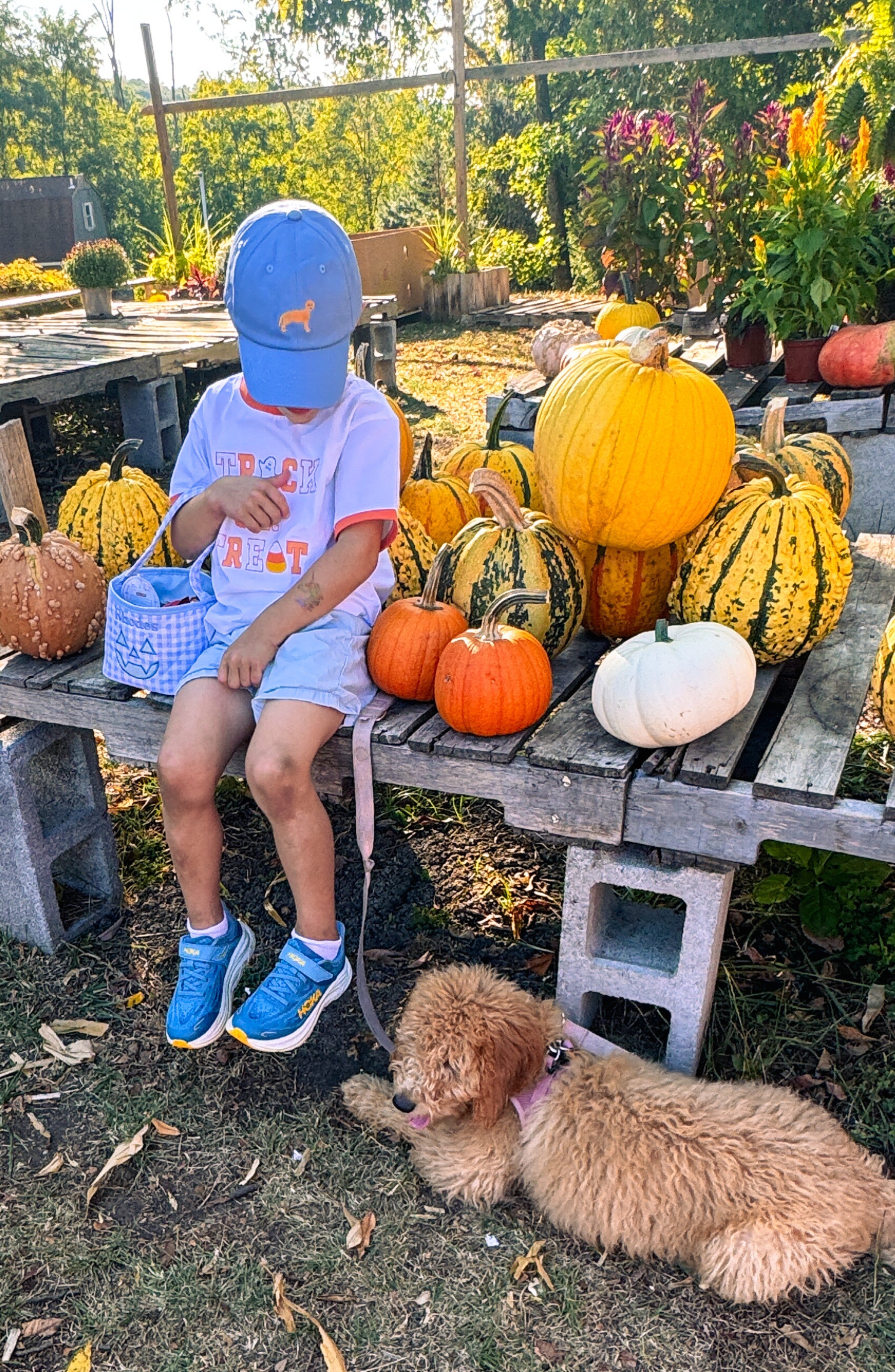Golden Retriever Dog Baseball Hat (baby/toddler, Youth)