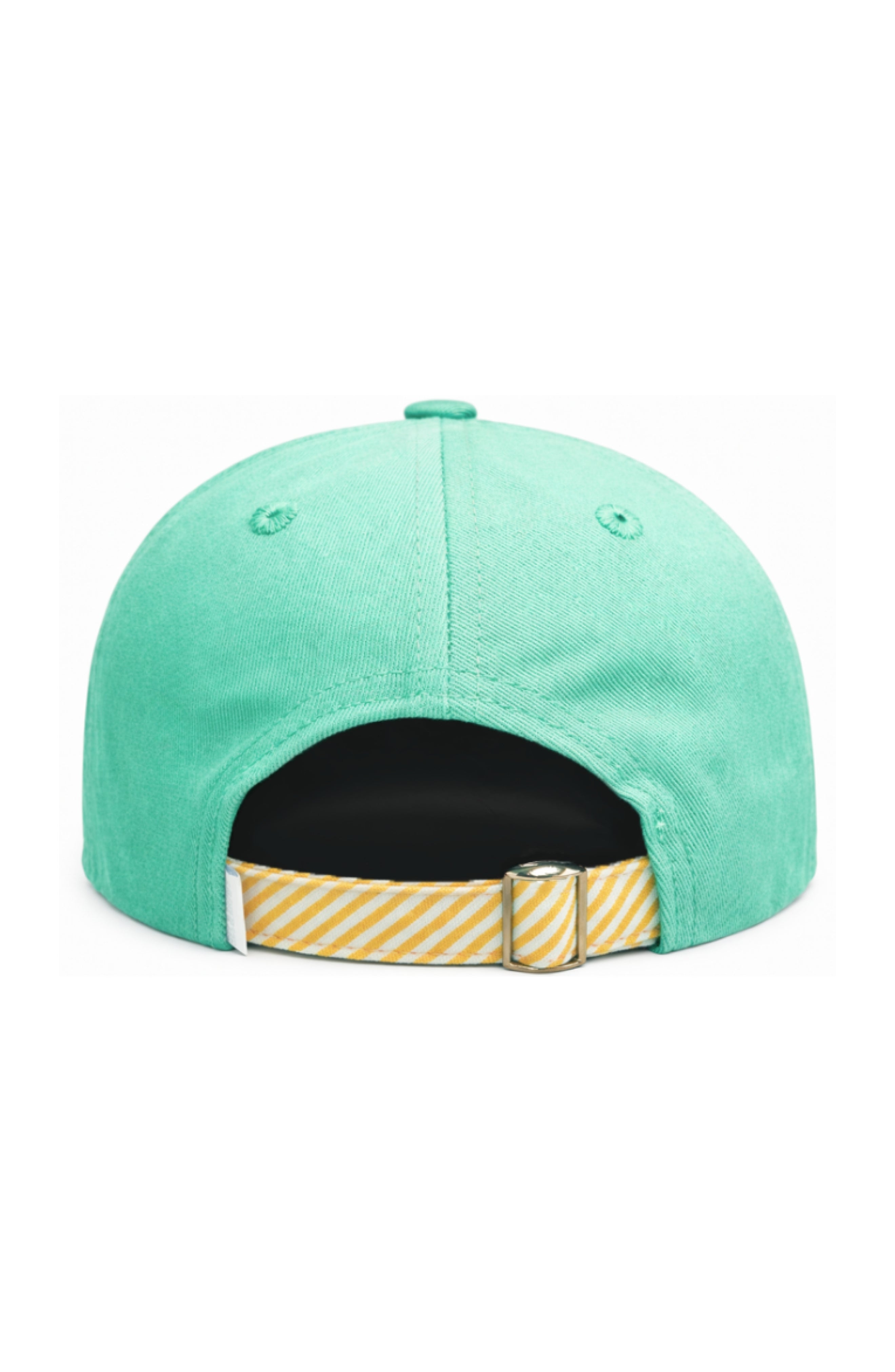 Triceratops Baseball Hat