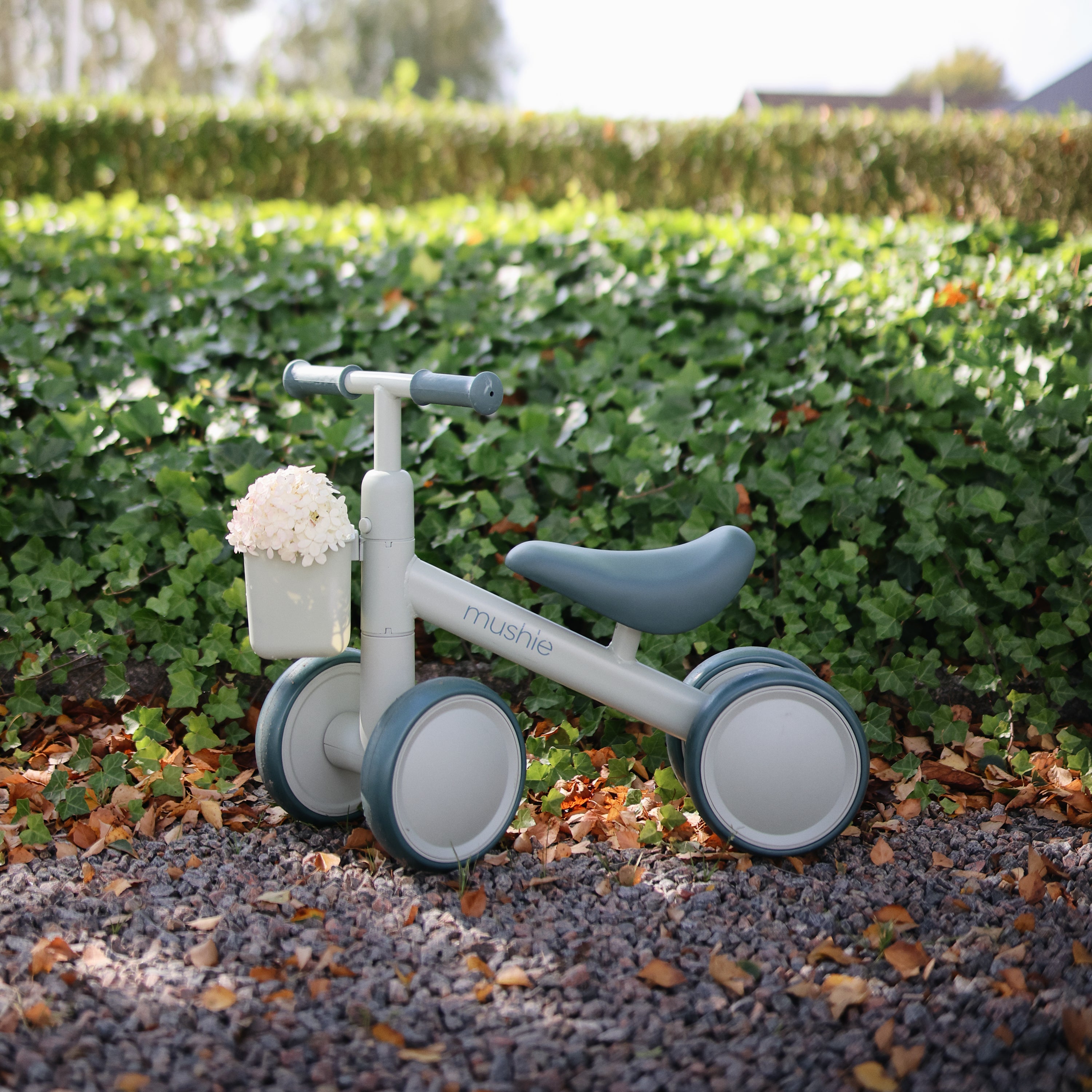Mini Toddler Bike