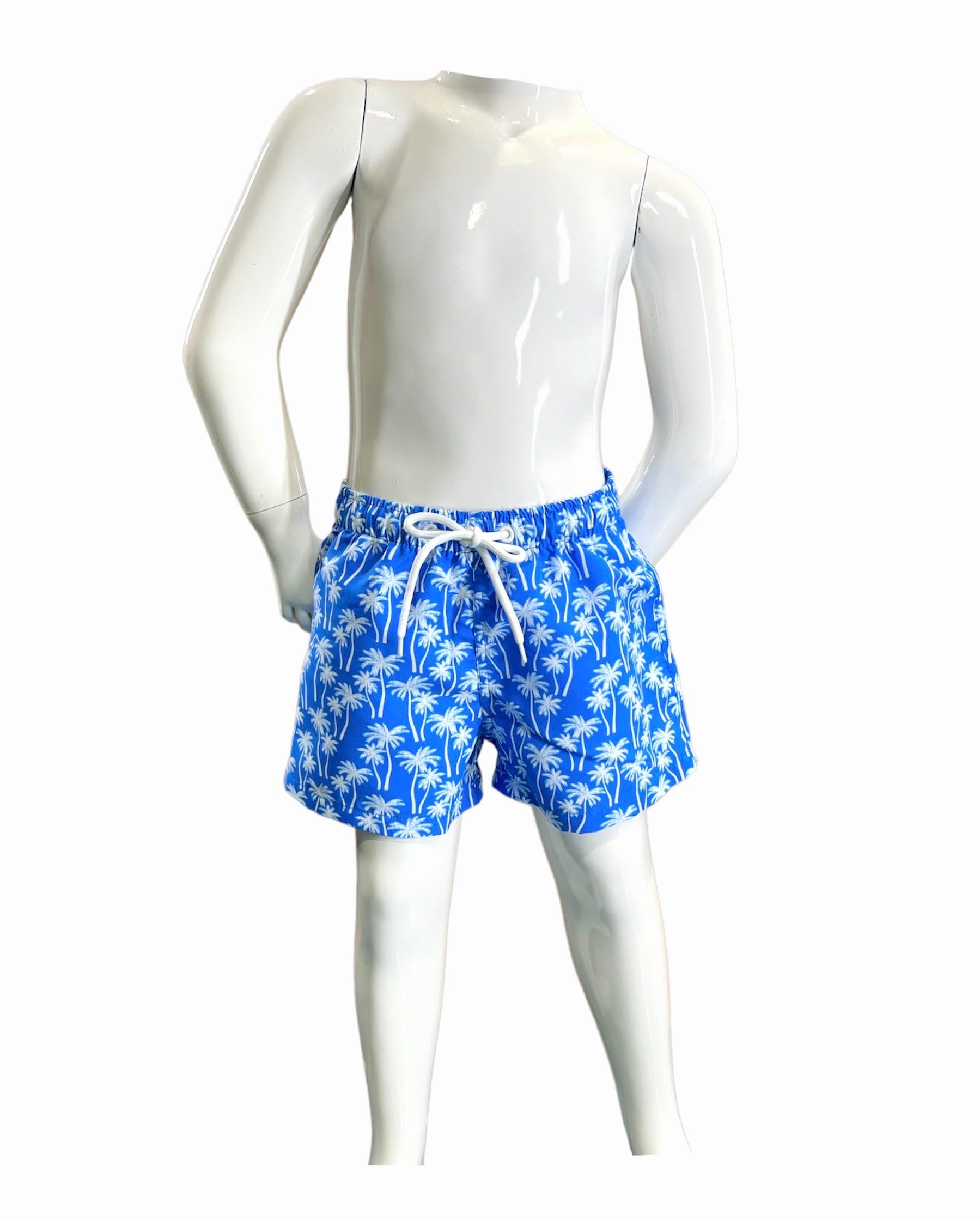 F1701-wht Plams On Blue