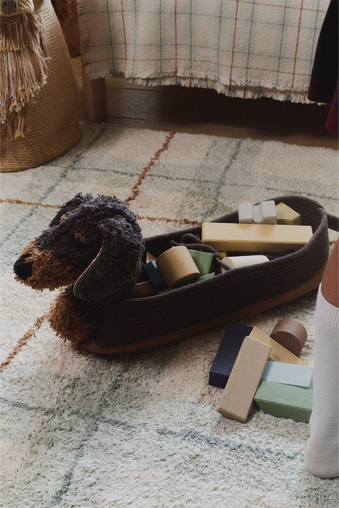 Basket Sparky