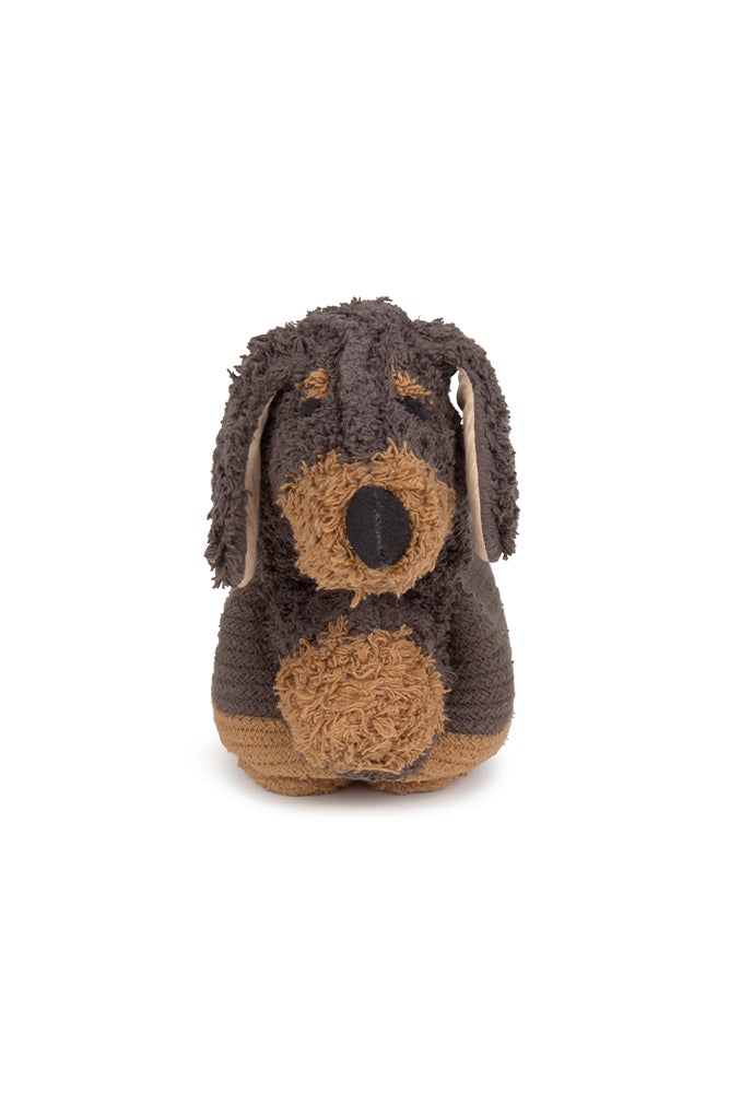 Basket Sparky