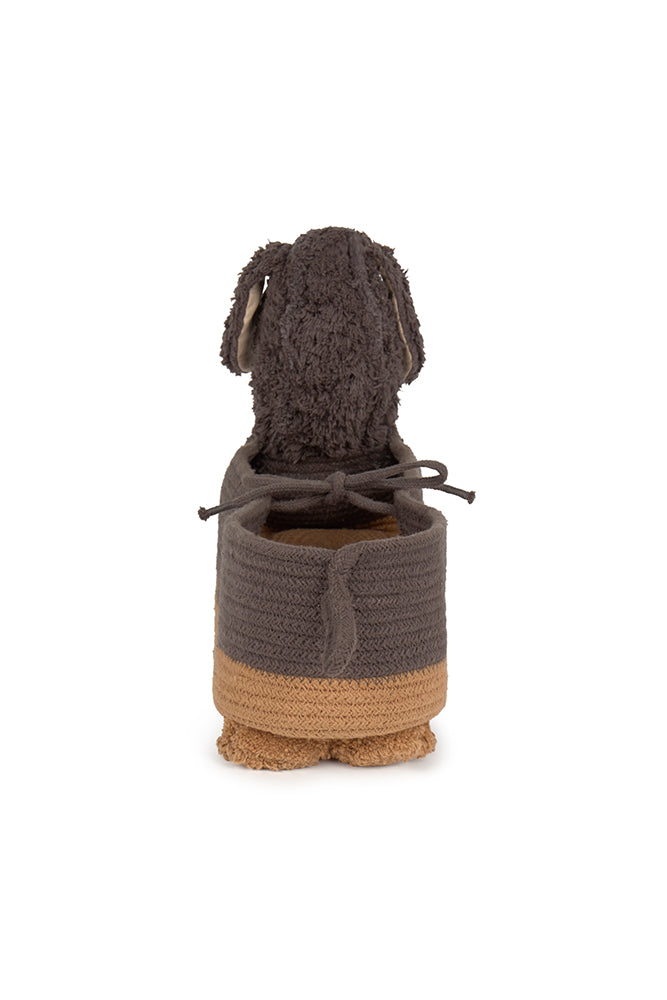 Basket Sparky