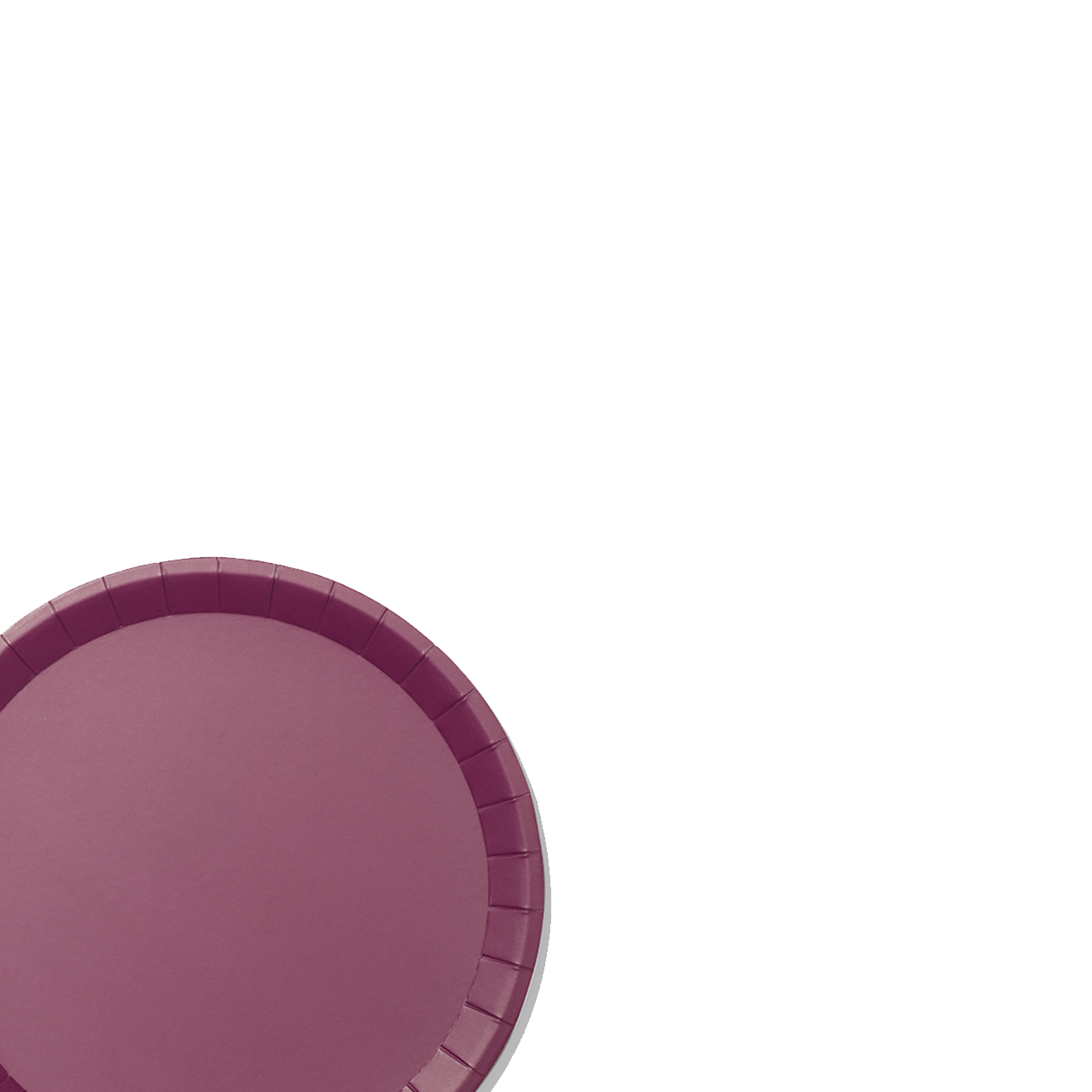 Plum Classic Large Plates (10 Per Pack)