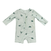 Baby Boy One-piece Rash Guard Swimsuit In Dinosaur