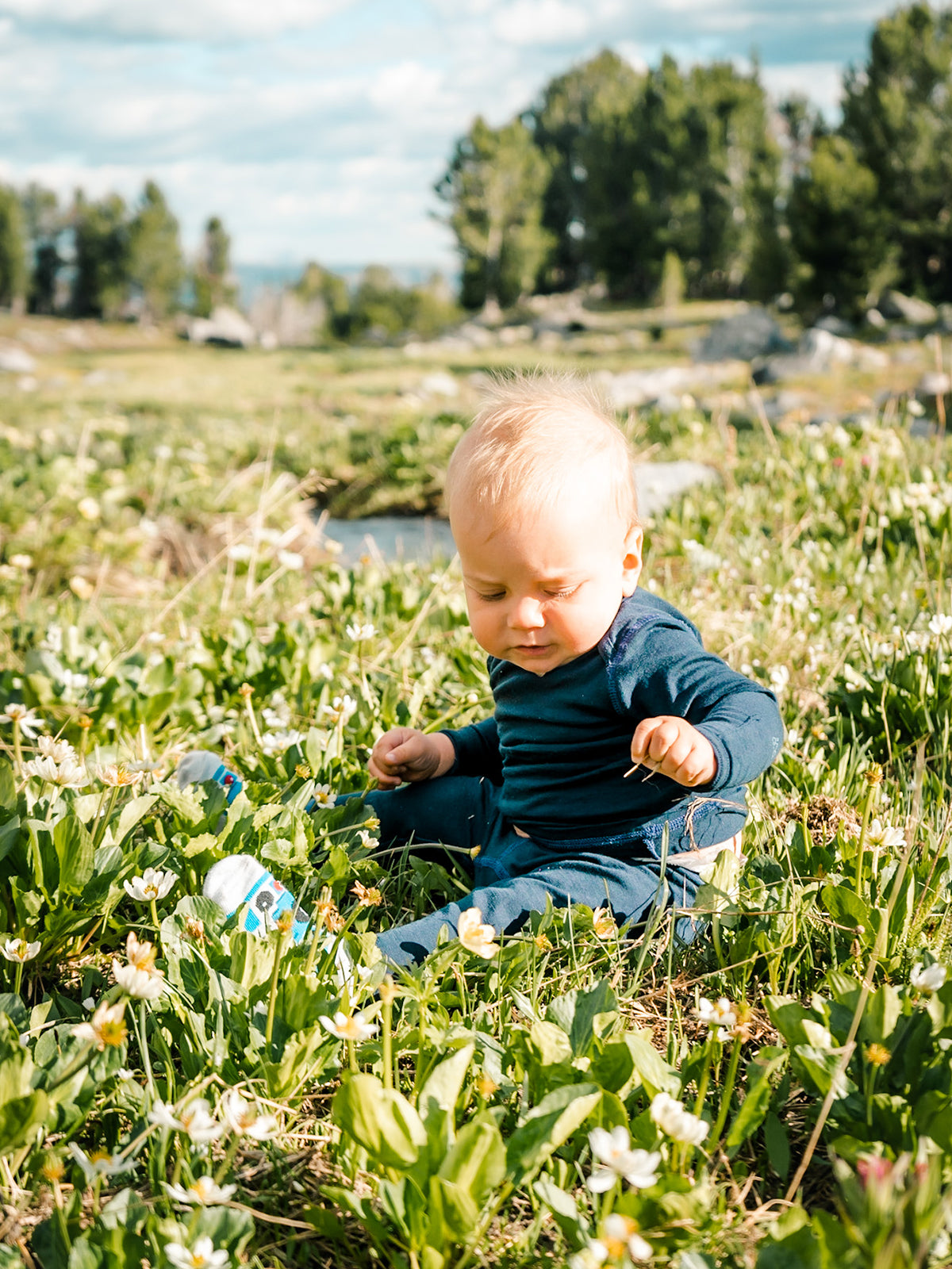 Baby Merino Long Sleeve