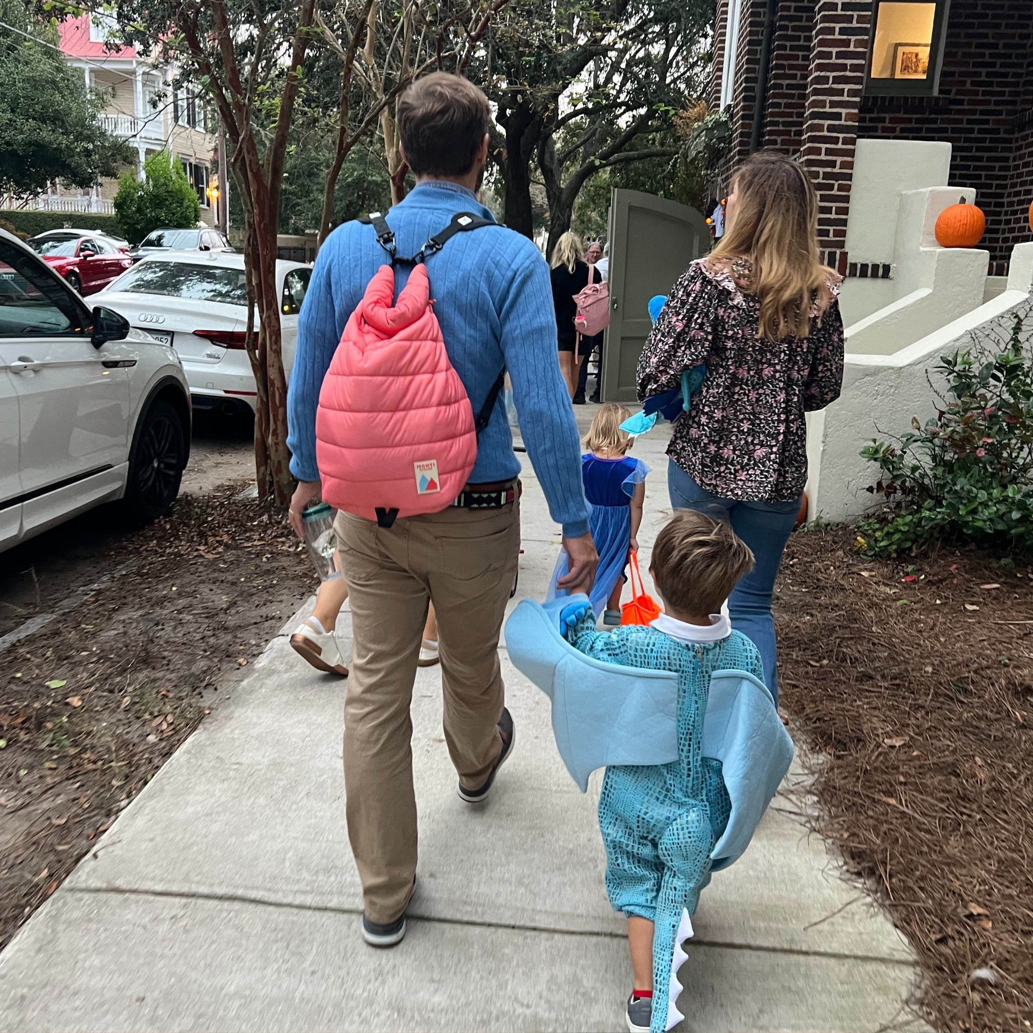 Backpack Straps (for Older Monti Cooler Versions)